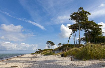 Halbinsel Fischland Darß